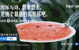 娱乐吃瓜文案图片