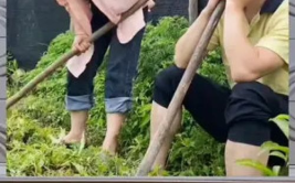 娱乐八卦吃瓜群众,揭秘明星幕后故事，吃瓜群众狂欢时刻