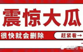 娱乐圈吃瓜八卦汇总