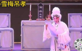 秦雪梅吊孝mp3,忠贞爱情的千古绝唱