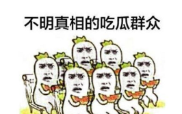 吃瓜群众跟风网暴,吃瓜群众的狂欢与反思
