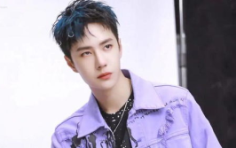 吃瓜娱乐圈王一博,娱乐圈的瓜中明星，魅力与实力并存