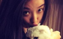 娱乐吃瓜酱虐猫小说,娱乐吃瓜酱的黑暗面揭露