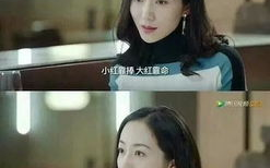 娱乐圈全员吃瓜小说推荐,全民瓜田，谁主沉浮？