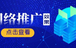推广效果