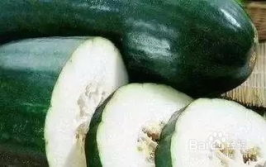 娱乐吃瓜粥,吃瓜群众必备的娱乐吃瓜粥